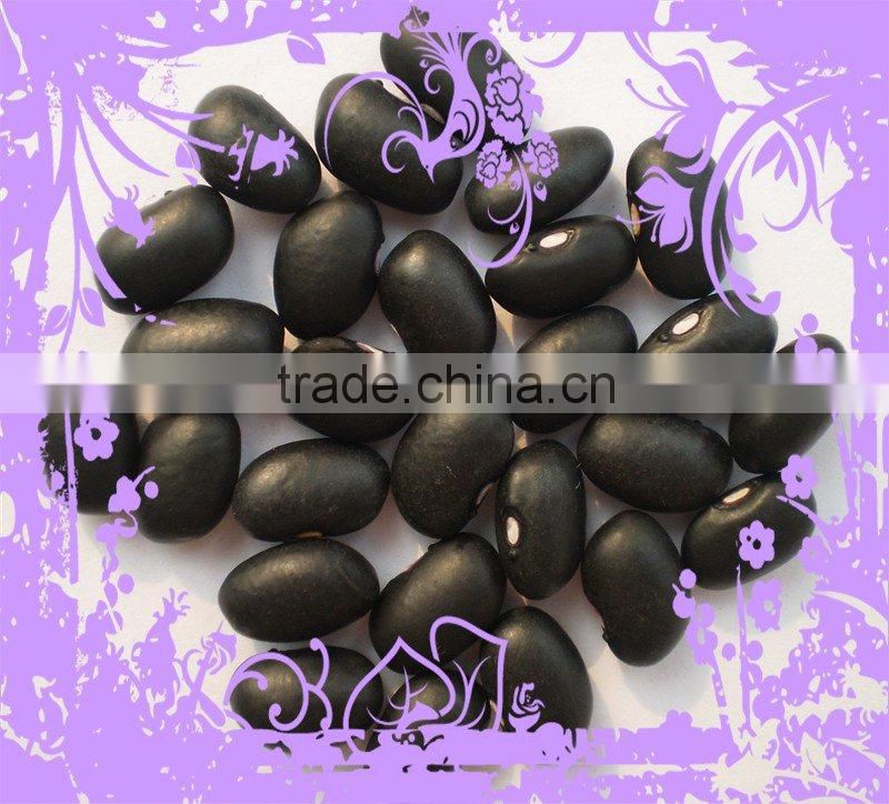 Chinese Small Black Kidney Bean