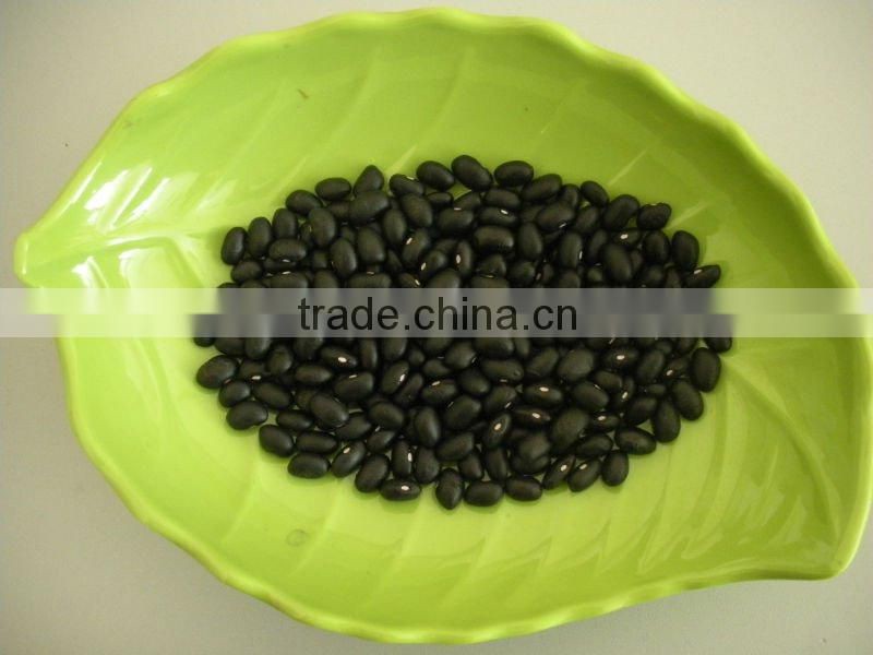 Chinese Small Black Kidney Bean