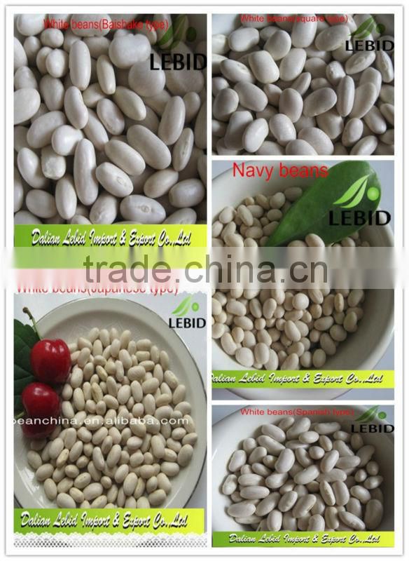 New Crop Azuki Beans/ Small Red Beans With High Quality