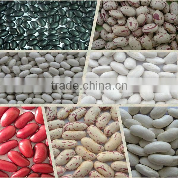 Common Cultivation Type Adzuki Bean Small Red Beans