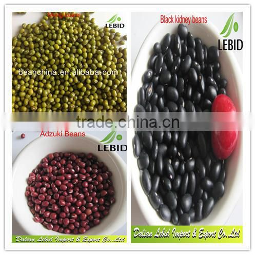 New Crop Azuki Beans/ Small Red Beans With High Quality