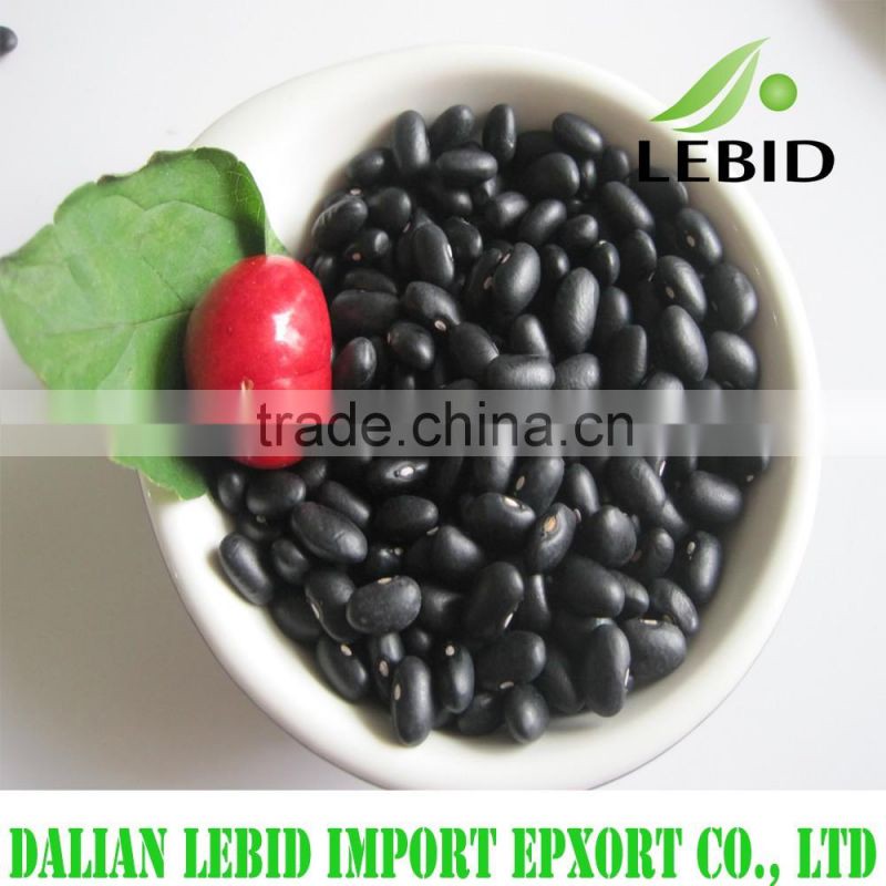 Black beans for sale/black bean with yellow kernel