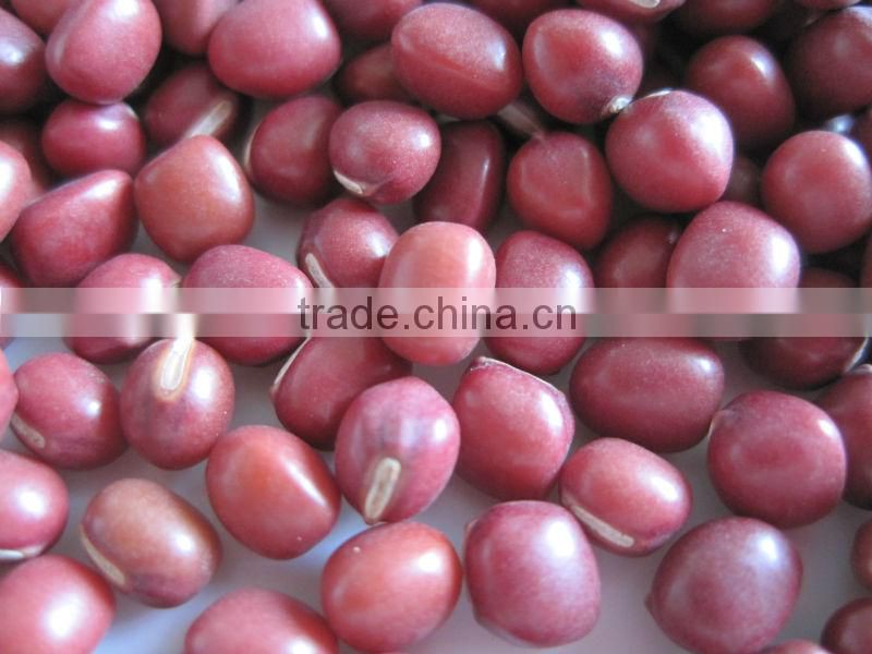 New Crop Azuki Beans/ Small Red Beans With High Quality