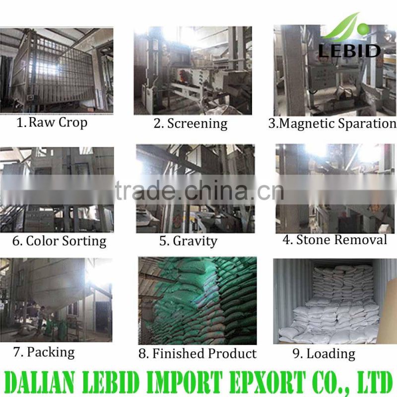 Black beans for sale/black bean with yellow kernel