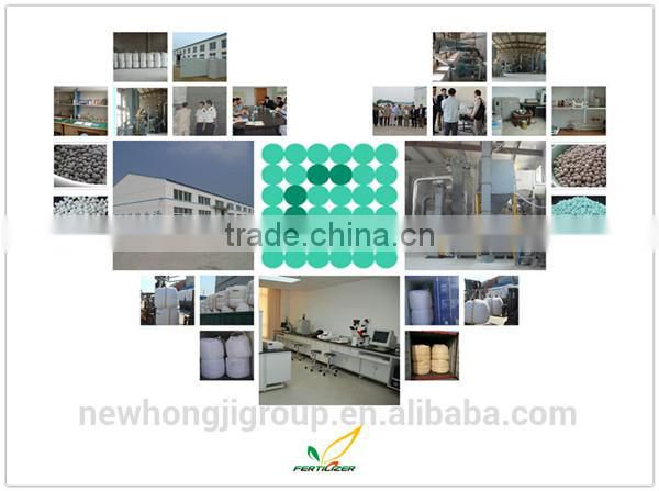 CMCN Fengyuan Brand humic acid fertilizer