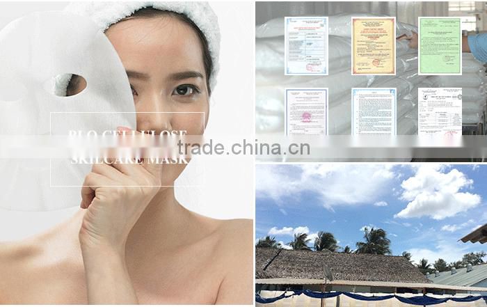 Factory Direct Sale Best Quality Anti Allergy Bio-cellulose Mask