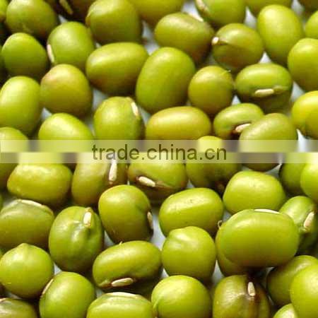 Organic mung bean