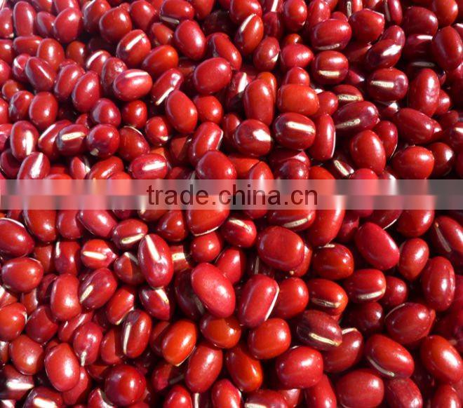 small red bean ( organic )