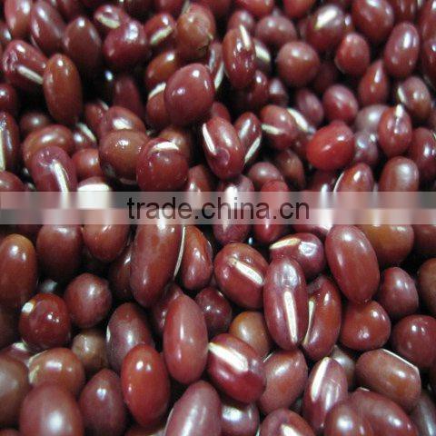 small red bean ( organic )