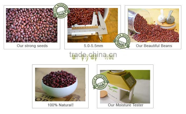 Dried beans high quality and low price,dried adzuki beans