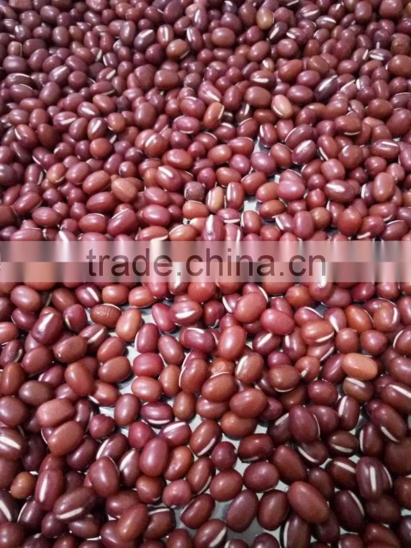 China New crop red adzuki bean