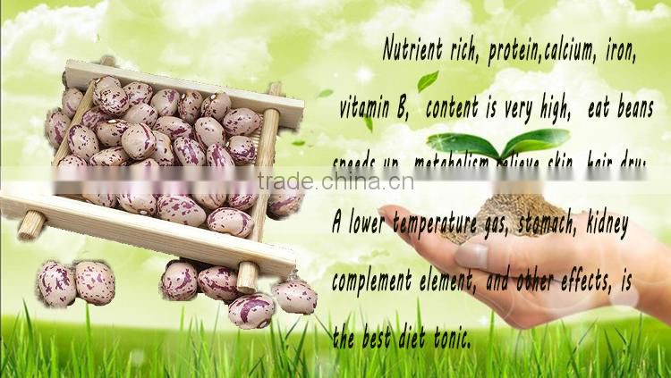 Light Speckled Kidney beans (XinJiang round)