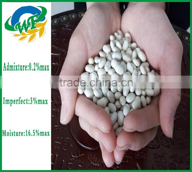 Chinese White Kidney Beans (japanese type)