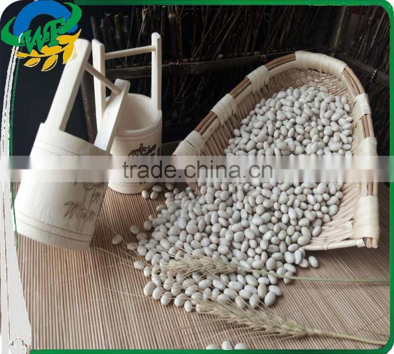 Chinese White Kidney Beans (navy type)