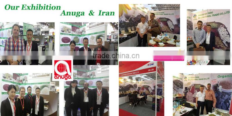 New crop light red speckled kidne y beans long shape bamboo bean for europe