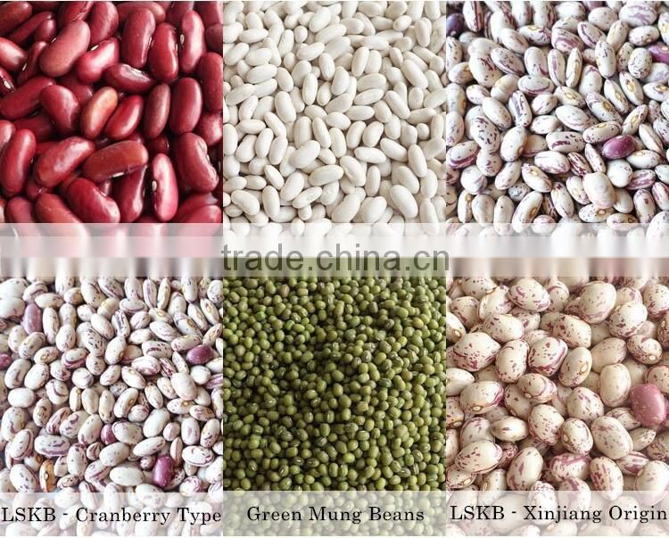 Light Speckled Kidney beans (XinJiang round)