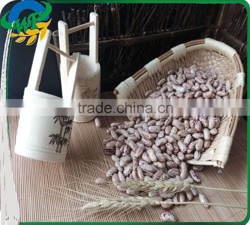 New crop light red speckled kidne y beans long shape bamboo bean for europe