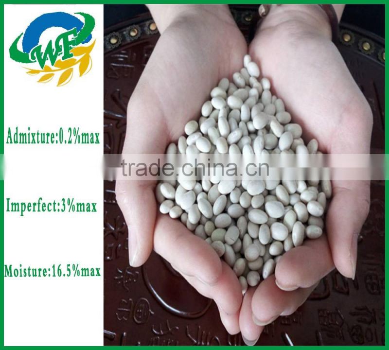 Chinese White Kidney Beans (navy type)