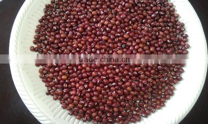 China New crop red adzuki bean