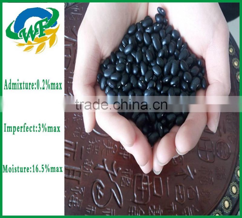 Chinese Black Kidney Beans