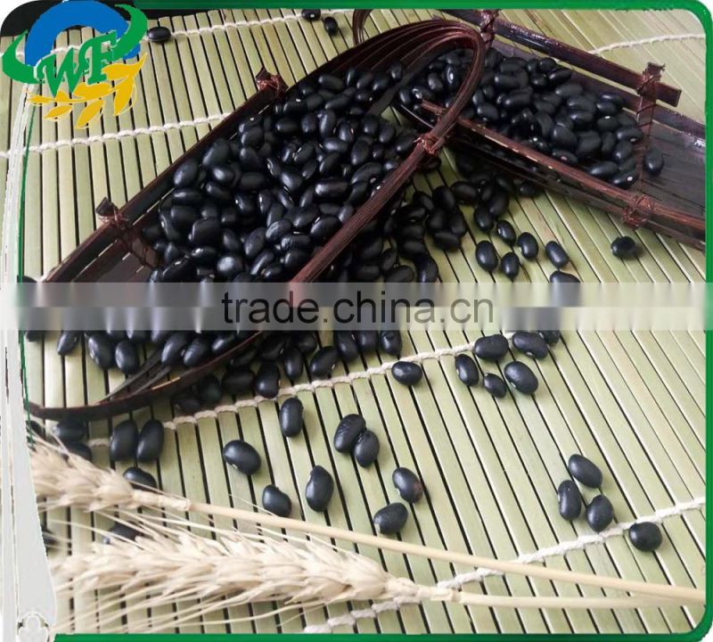 Chinese Black Kidney Beans