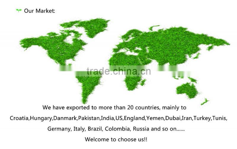 2015 Chinese Light Speckled Kidney beans American Round for Europ