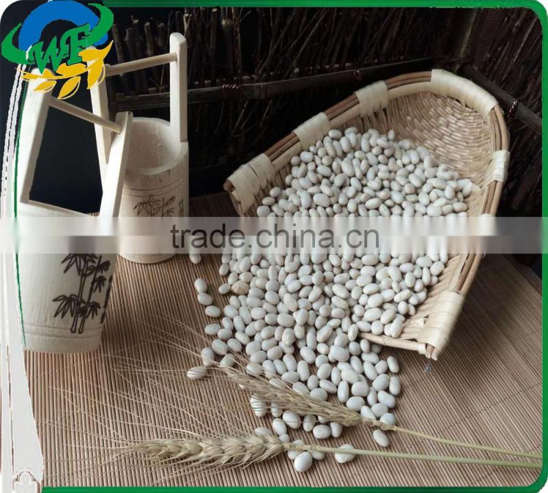 Chinese White Kidney Beans (japanese type)