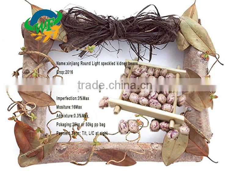 Light Speckled Kidney beans (XinJiang round)
