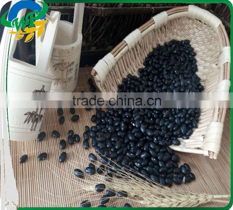 Chinese Black Kidney Beans