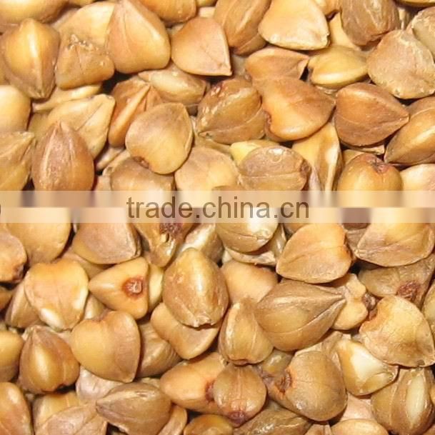 roasted buckwheat kernel