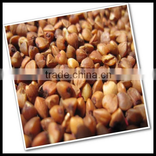 roasted buckwheat kernel
