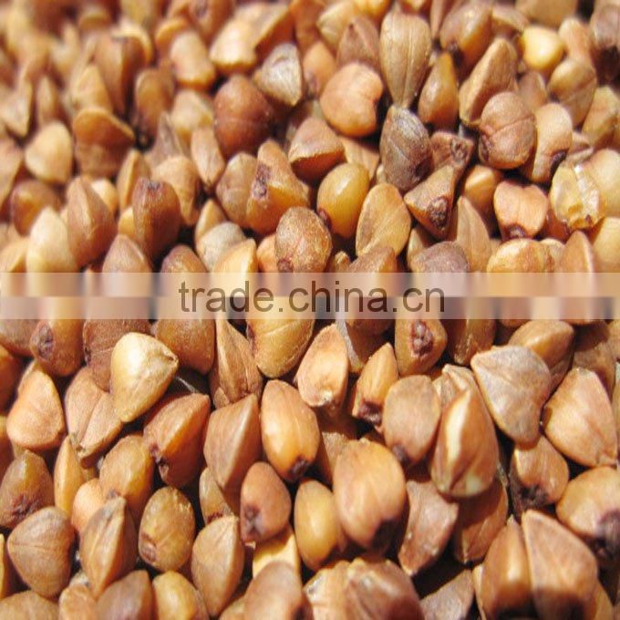 roasted buckwheat kernel