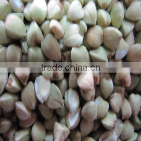 roasted buckwheat kernel