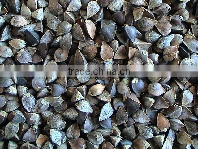 roasted buckwheat kernel