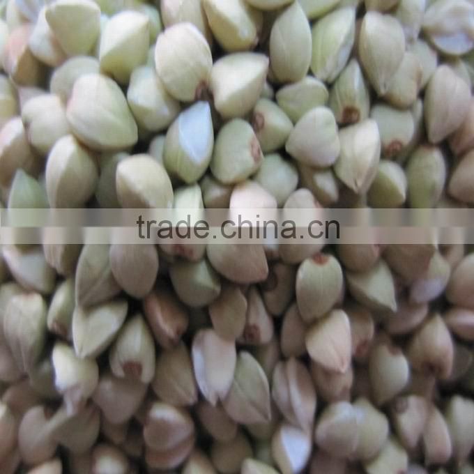 roasted buckwheat kernel