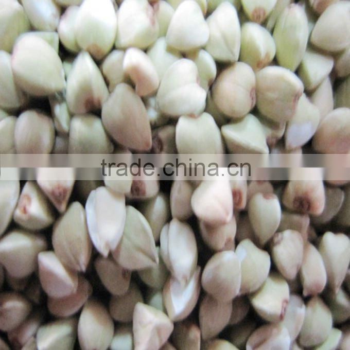 roasted buckwheat kernel