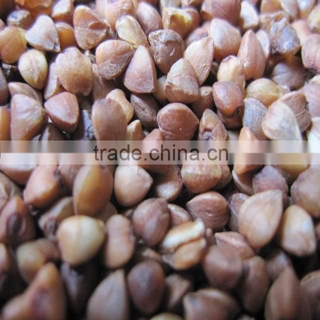 roasted buckwheat kernel