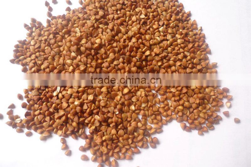 roasted buckwheat kernel