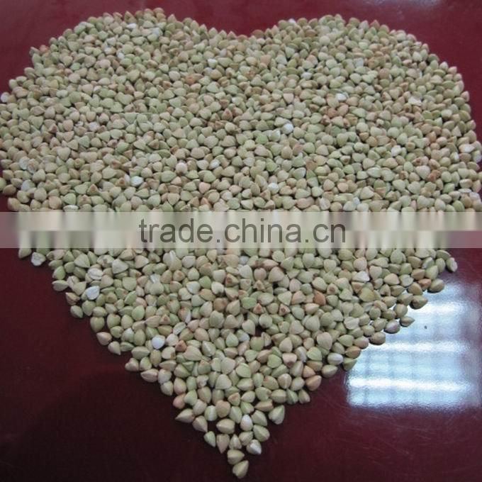 roasted buckwheat kernel