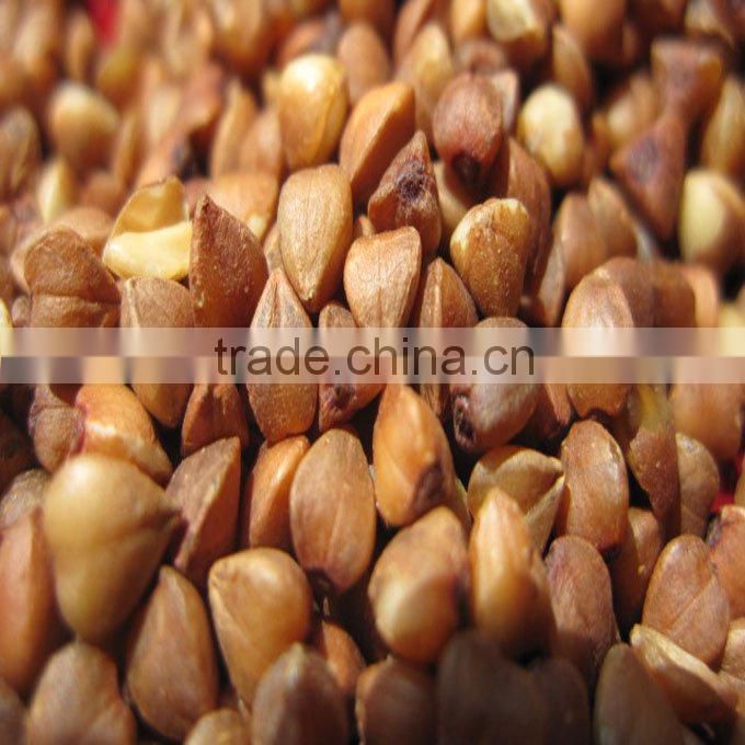 roasted buckwheat kernel