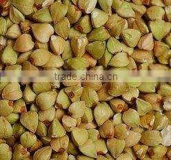 roasted buckwheat kernel