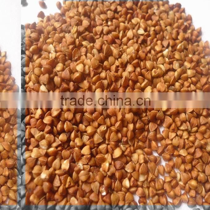 roasted buckwheat kernel