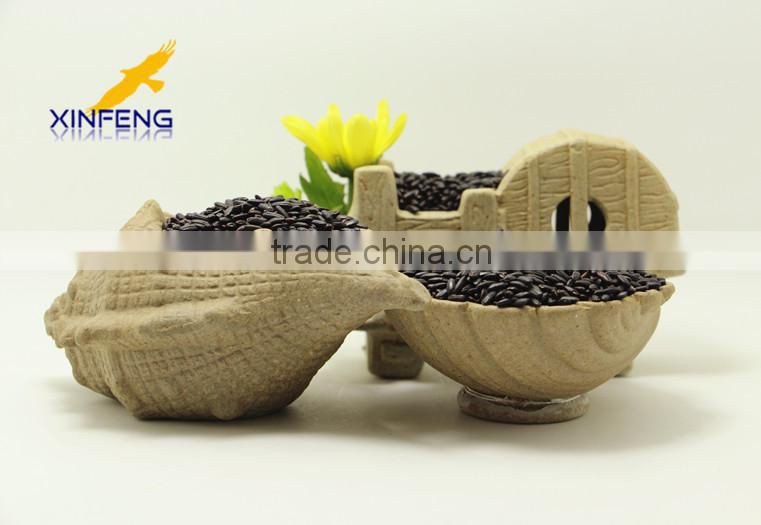 Organic black rice from China