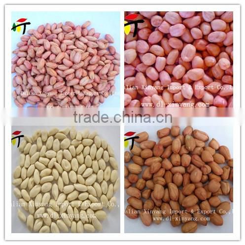 Roasted Salted Blanched Peanuts