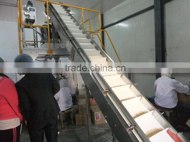 wholesale blanched peanut kernel 2015