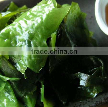 wakame salad frozen wakame salad seasoned wakame salad