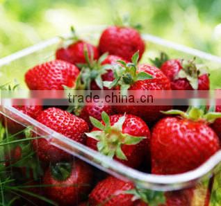 new crop sweet charlie iqf strawberry