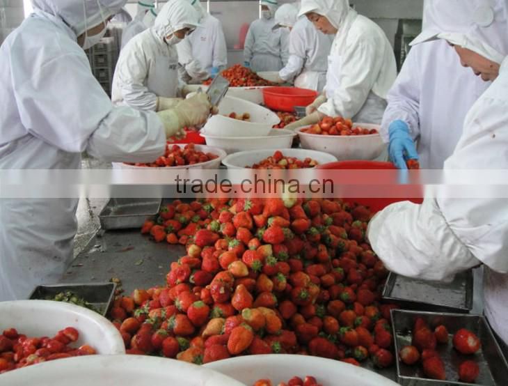 new crop sweet charlie iqf strawberry