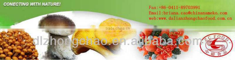 Frozen raspberry of dalian China