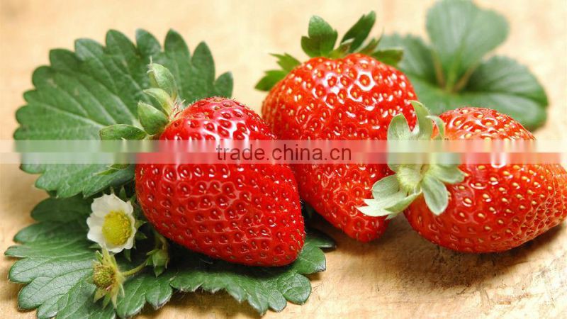 new crop sweet charlie iqf strawberry